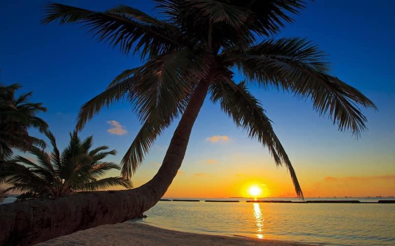 Elene Phu Quoc Hotel Buitenkant foto